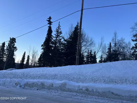 L3 Patrick Road, Anchorage, AK 99516 photo 26
