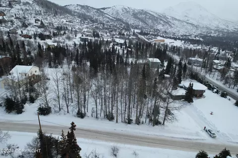L3 Patrick Road, Anchorage, AK 99516 photo 8