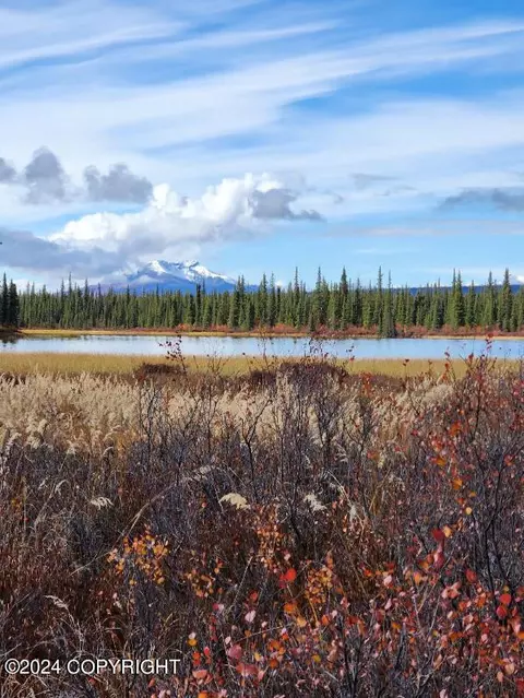 49696 S Millennium Loop, Chickaloon, AK 99674