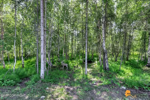 Other - 734 E Sage Rd, Wasilla, AK 99654 photo 10 of 11