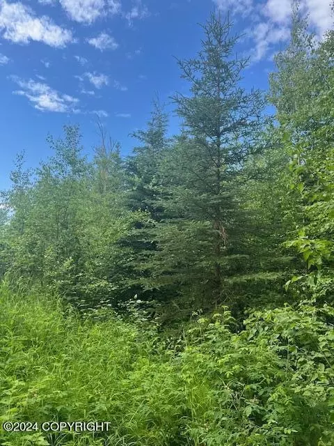 3774 W Gentle Breeze Dr, Wasilla, AK 99623