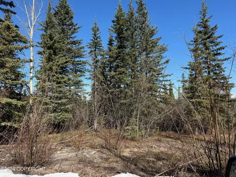 6 Edgerton Highway, Copper Center, AK 99573