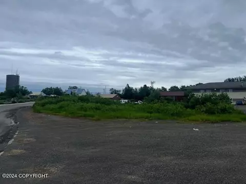 117 D St, Dillingham, AK 99576 photo 1