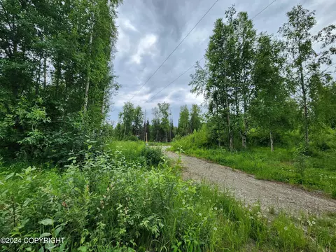 L10 B2 W Goldstreak Drive, Big Lake, AK 99652