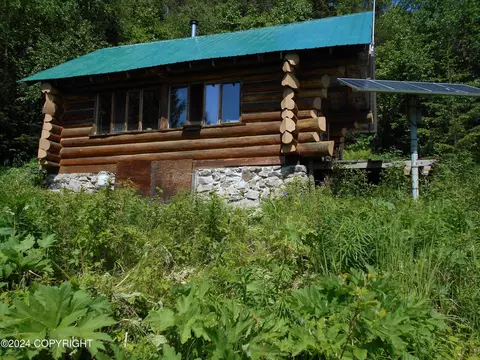 Exterior - 0 Loon Lk, Remote, AK 99603 photo 3 of 4