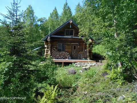 Exterior - 0 Loon Lk, Remote, AK 99603 photo 4 of 4