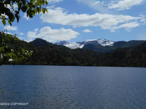 View/Area - 0 Loon Lk, Remote, AK 99603 photo 1 of 1