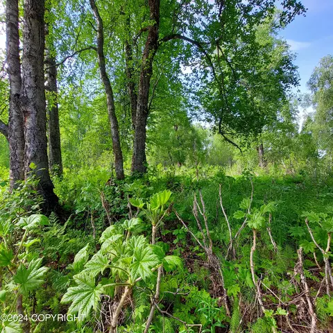 22578 S Trappers Dr, Trapper Creek, AK 99683