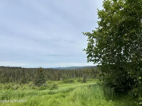 64142 E Shelton Ave, Homer, AK 99603