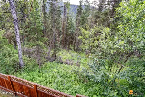8703 Mendocino Cir, Eagle River, AK 99577 photo 43