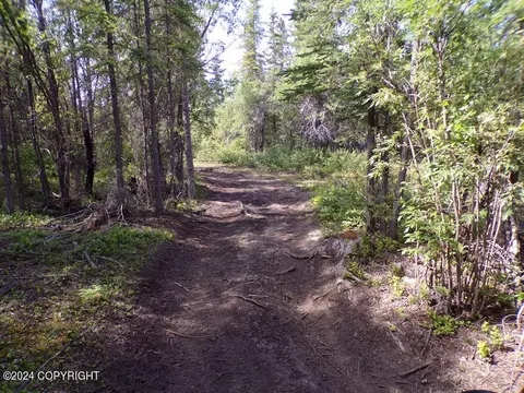 Mile 106.5 Richardson Hwy Highway, Copper Center, AK 99573