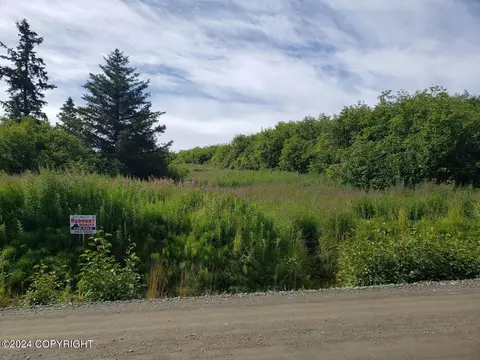 67175 Walter Thomas Rd, Homer, AK 99603