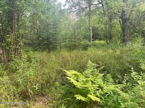18412 Mountain Rd, Chugiak, AK 99567 photo 2