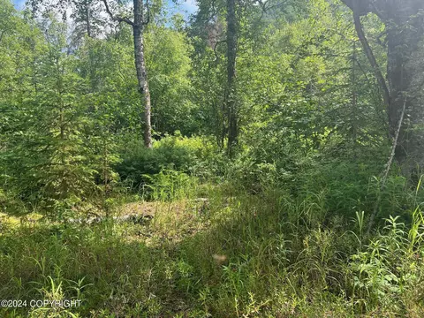 18412 Mountain Rd, Chugiak, AK 99567 photo 3