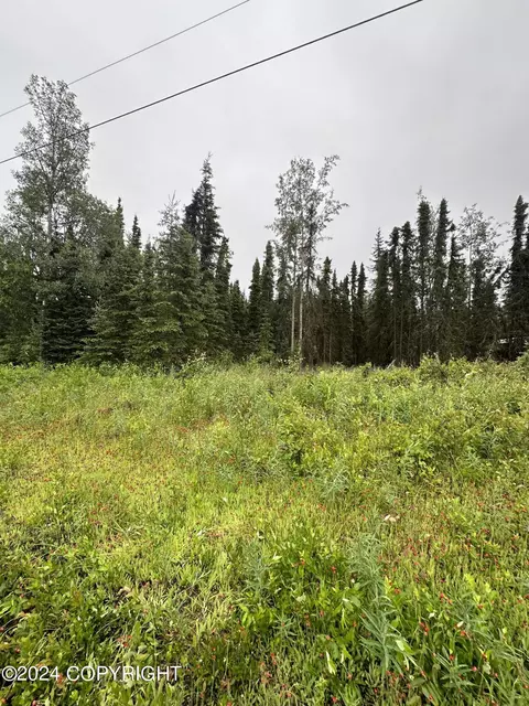 4406 N Dogwood Rd, Kenai, AK 99611