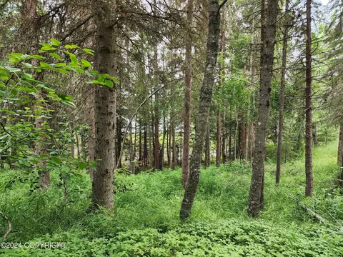 L12 Moose Range Drive, Sterling, AK 99672