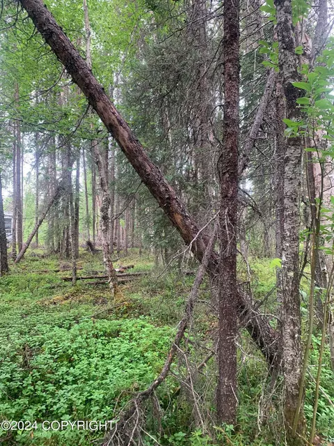 13653 E Wilderness Rim Rd, Willow, AK 99688 photo 5