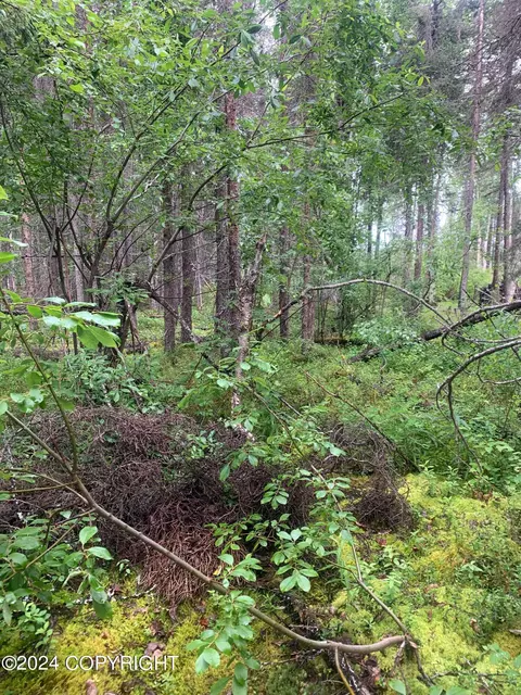 13653 E Wilderness Rim Rd, Willow, AK 99688 photo 4