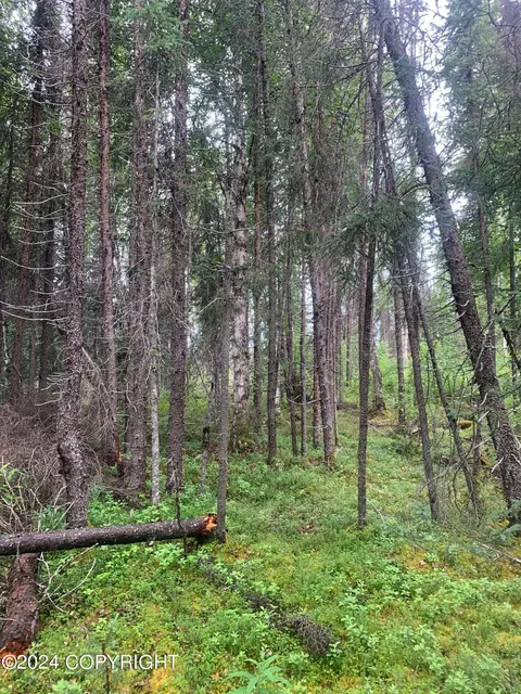 13653 E Wilderness Rim Rd, Willow, AK 99688 photo 3
