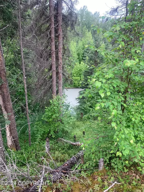 13653 E Wilderness Rim Rd, Willow, AK 99688