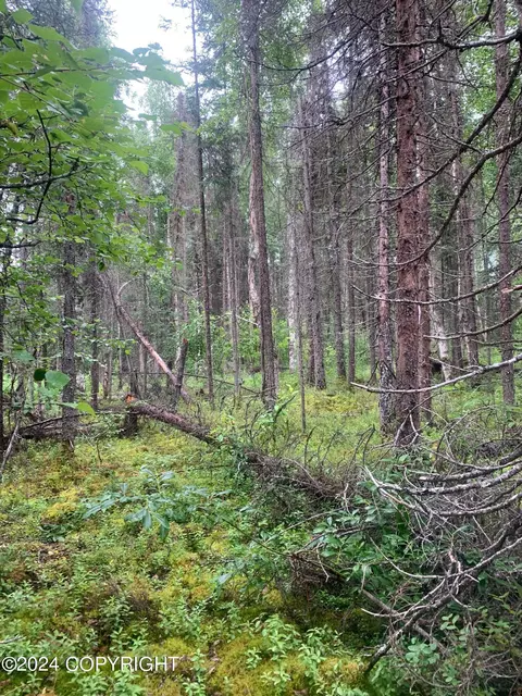 13653 E Wilderness Rim Rd, Willow, AK 99688 photo 2