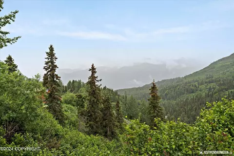 4039 Birdsong Dr, Eagle River, AK 99577 photo 43