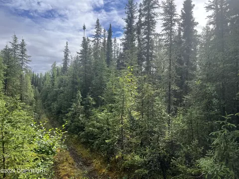 36295 Ansel St, Soldotna, AK 99669