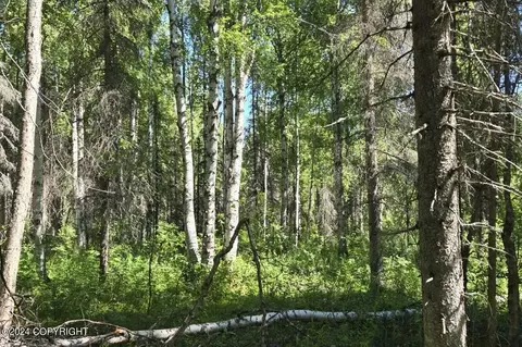49701 S Denali View Dr, Talkeetna, AK 99676