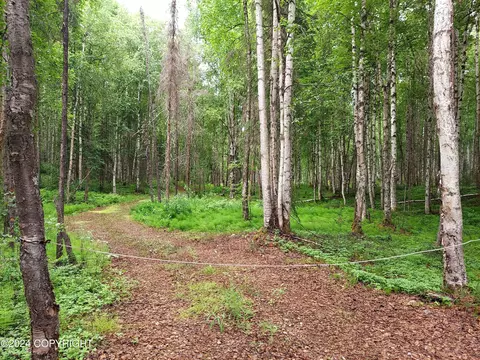17251 E Barge Dr, Talkeetna, AK 99676