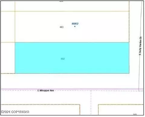 L482 Caswell Lake, Willow, AK 99688