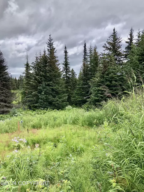 500 Westwood Ave, Homer, AK 99603