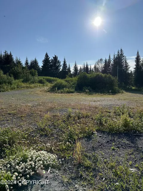 41610 Sterling Hwy, Homer, AK 99603