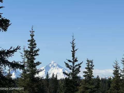 25904 Pepper Rd, Anchor Point, AK 99556