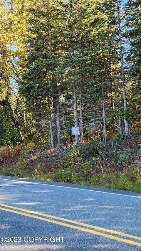 L2 Tustumena Lake Road, Kasilof, AK 99610