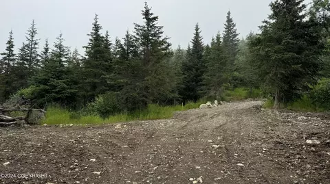 L8b4 Hiland Road, Eagle River, AK 99577 photo 17