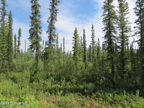 Mi 92.4 Richardson Highway, Copper Center, AK 99573