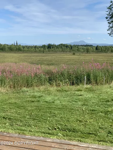 Other - 9239 E Devonshire Dr, Trapper Creek, AK 99683 photo 3 of 26