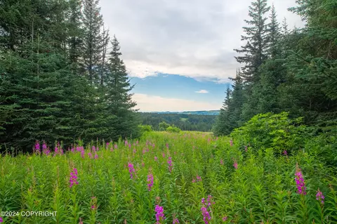 Nka Skyline Drive, Homer, AK 99603