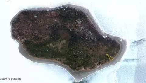 L4 B2 Caribou Island, Cooper Landing, AK 99572