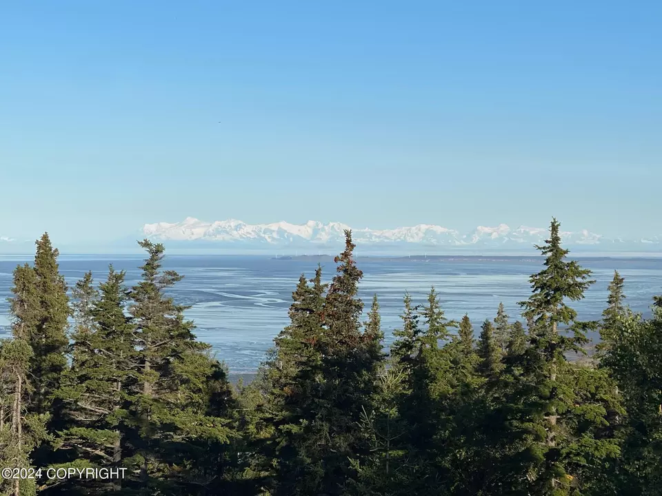 View/Area - 17697 Golden View Dr, Anchorage, AK 99516 photo 2 of 9