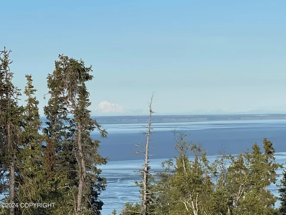View/Area - 17697 Golden View Dr, Anchorage, AK 99516 photo 7 of 9