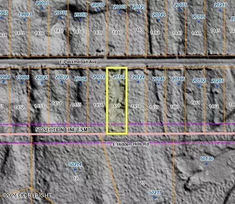 20102 Passthebait Ave, Willow, AK 99688 photo 37