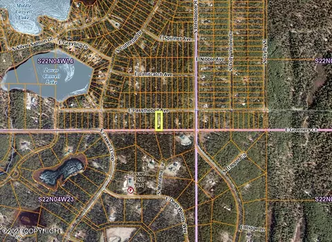 20102 Passthebait Ave, Willow, AK 99688 photo 38