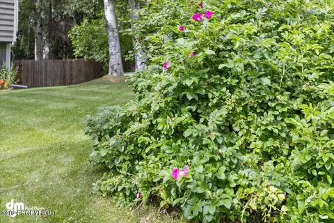 9536 Noak Cir, Eagle River, AK 99577 photo 53