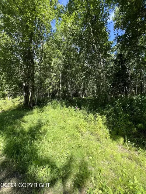 9928 S 997 S Gala Dr, Wasilla, AK 99623