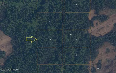 L3 B1 Loriens Trail, Talkeetna, AK 99676