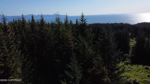2083 Highland Dr, Homer, AK 99603
