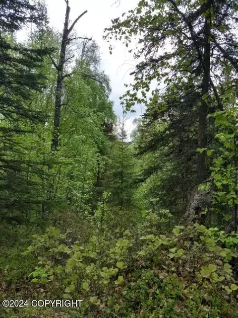 17457 Marion Dr, Wasilla, AK 99654