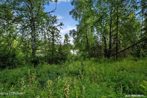 8721 W Behnke Rd, Wasilla, AK 99623 photo 24