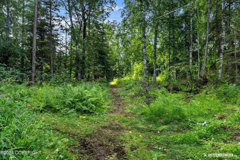 8721 W Behnke Rd, Wasilla, AK 99623 photo 26